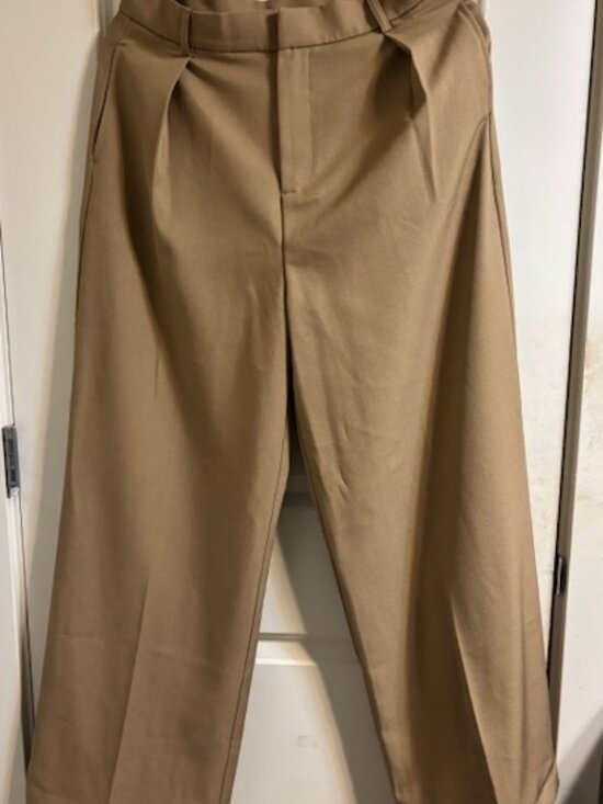 Anewsta Pants - Anewsta Women's Beige Pleated High-Waisted Dress Pants Size L